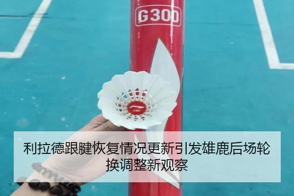 利拉德跟腱恢复情况更新引发雄鹿后场轮换调整新观察